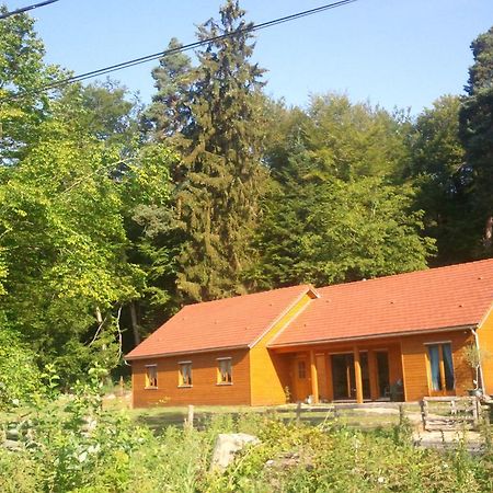 Vosges Chambres D'Hotes Jeanmenil Luaran gambar